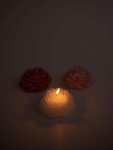 Sinsay - Súprava 3 sviečok - viacfarebná