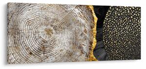 Obrázok - Kmeň stromu v koláži 2 (120x50 cm)