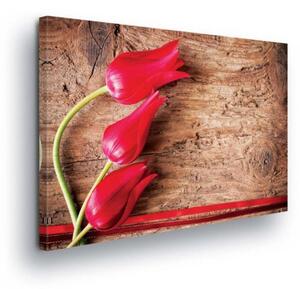 Obraz na plátne tulipány na dreve 163O1, 100 x 75 cm, IMPOL TRADE
