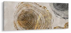 Obraz - Abstrakcia kmeňov (120x50 cm)