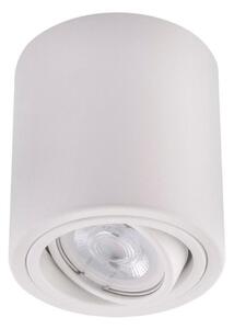 Ledvance - Bodové svietidlo TUBA 1xGU10/50W/230V