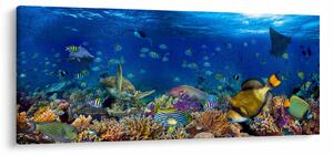 Obraz - Oceán (120x50 cm)