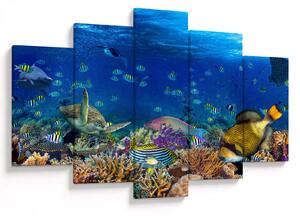 Obraz - Oceán (150x105 cm)