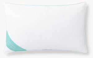 Paplón z páperia a peria Comfort, stredný