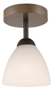 Prisadený luster ADRIANO 1xE27/60W/230V