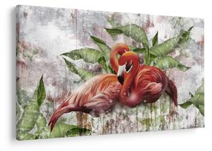 Obraz - Plameniaky (90x60 cm)