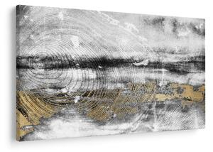 Obraz - Abstrakcia (90x60 cm)