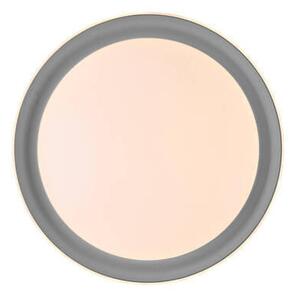 STROPNÉ LED SVIETIDLO, 43/43/8,5 cm - Interiérové svietidlá