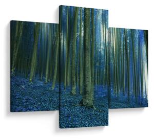 Obraz - Modrý les (90x60 cm)