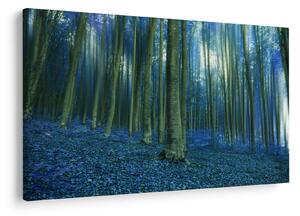 Obraz - Modrý les (90x60 cm)