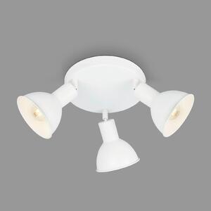 HLAVICA LED BODOVÉHO SVIETIDL, 19/11 cm XXXL - Série svietidiel