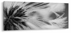 Obraz - Makro, čiernobiela (120x50 cm)
