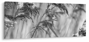 Obraz - Lipnica, čiernobiela (120x50 cm)