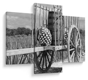Obraz - Prívesný vozík, čiernobiela (90x60 cm)
