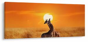 Obraz - Žirafy v národnom parku Serengeti (120x50 cm)