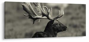 Obraz - Jeleň (120x50 cm)