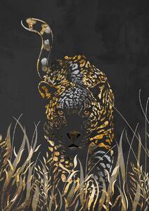 Ilustrácia Black gold jaguar in grass, Sarah Manovski, (30 x 40 cm)