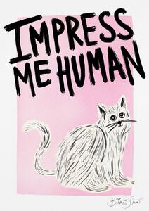 Ilustrácia Cat Owner - Impress Me Human, Baroo Bloom, (30 x 40 cm)