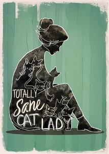 Ilustrácia Totally Sane Cat Lady, Andreas Magnusson, (30 x 40 cm)
