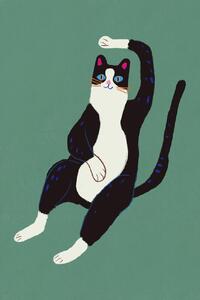 Ilustrácia Black and white cat, Little Dean, (26.7 x 40 cm)