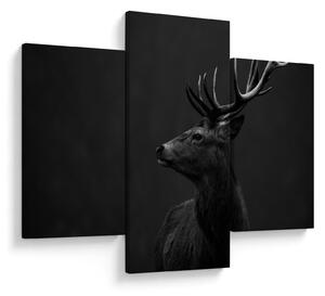Obraz - Portrét jeleňa (90x60 cm)