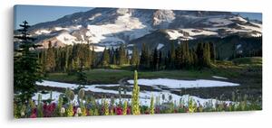 Obraz - Mount Rainier (120x50 cm)