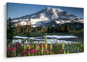 Obraz - Mount Rainier (90x60 cm)