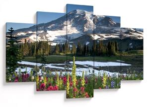 Obraz - Mount Rainier (150x105 cm)