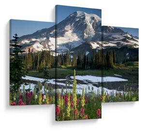 Obraz - Mount Rainier (90x60 cm)