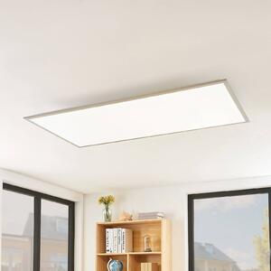 Lindby LED panel Stenley, 4 000 K, 120 cm x 60 cm, strieborná/biela, Biela / opálová, Kuchyňa, Plast, Moderný, Stropné svetlo