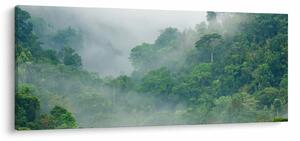 Obraz - Ranná hmla (120x50 cm)