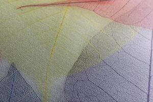 Obraz žilky na farebných listoch - 100x50