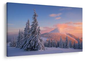 Obraz - Zimná krajina (90x60 cm)