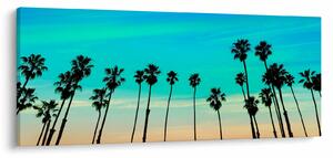Obraz - Kalifornia (120x50 cm)