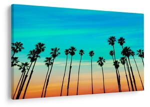 Obraz - Kalifornia (90x60 cm)