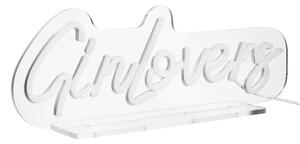 NEON VIBES LED Neonové svetlo s USB "GinLovers"
