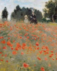 Monet, Claude - Umelecká tlač Poppies, (30 x 40 cm)