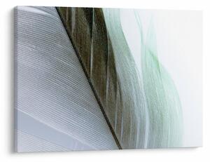 Obraz - Perie, makro (70x50 cm)