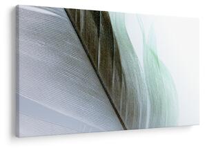 Obraz - Perie, makro (90x60 cm)