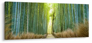 Obraz - Bambusový les (120x50 cm)