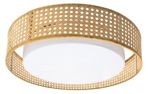 Toolight Toolight, LED stropné svietidlo plafón s ratanovým tienidlom 4000K, APP1934-C, biela-ratan, 50 cm, OSW-66090