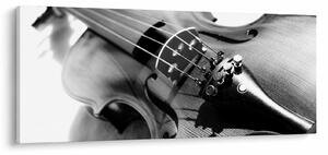 Obraz - Husle (120x50 cm)