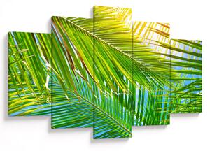Obraz - Palmové listy (150x105 cm)