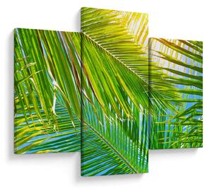 Obraz - Palmové listy (90x60 cm)