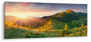 Obraz - Letná krajina (120x50 cm)