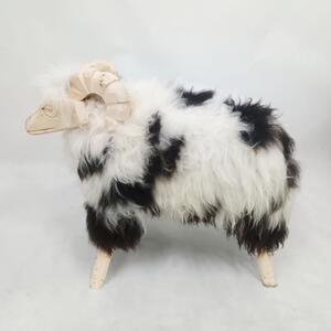 Baran veľký - stolička