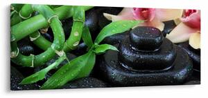 Obraz - Kamene a orchidey (120x50 cm)