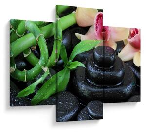 Obraz - Kamene a orchidey (90x60 cm)
