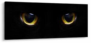 Obraz - Mačacie oči (120x50 cm)