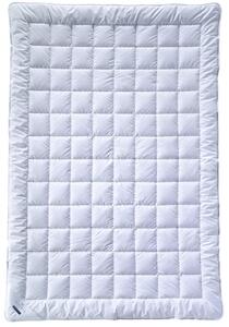 LETNÁ PRIKRÝVKA, 155/220 cm, polyester, bambus Billerbeck - Prikrývky & vankúše, Online Only